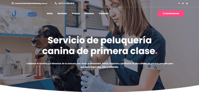 Modelo de landing page 01 para veterinaria